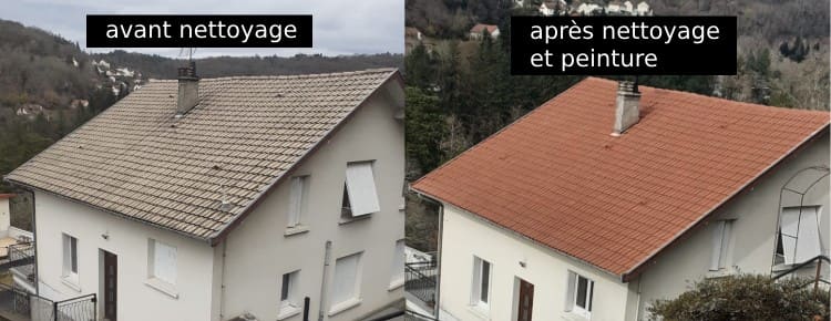 nettoyage toiture avant apres