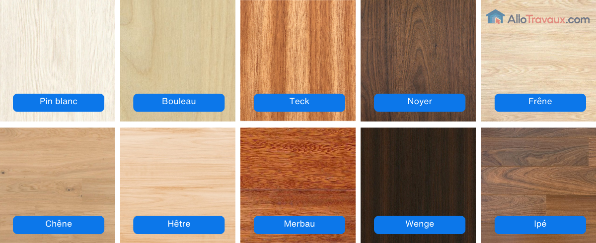 10 types de bois 1