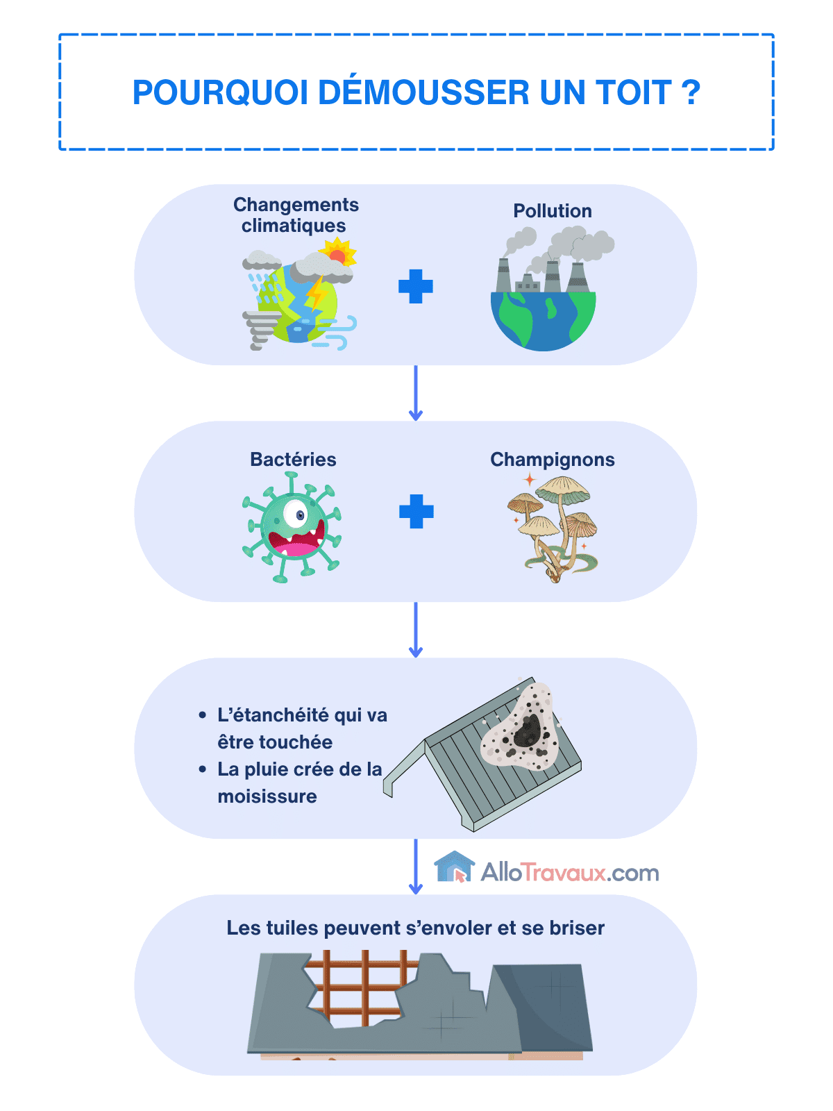 allotravaux pourquoi demousser un toit