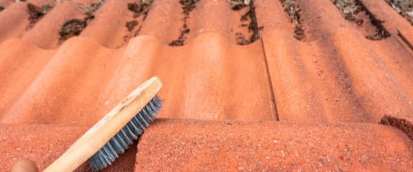 brosse toiture mousse