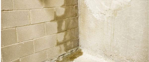 humdité cave solution 3