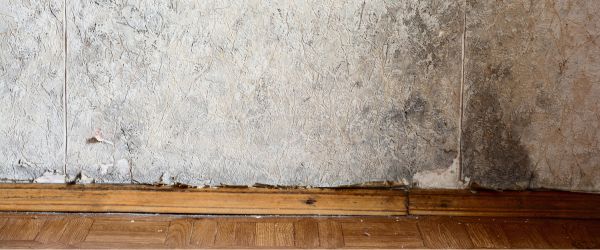 humidité cave solution 1