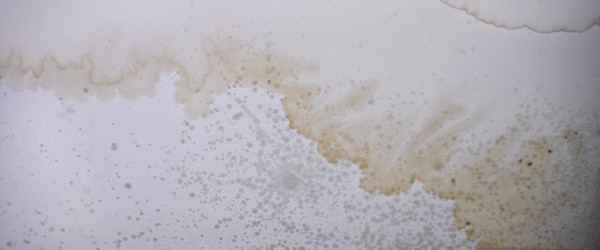 Mould stains on the ceiling