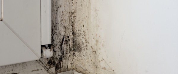 Mold, fungus on the slope of the wall. Black mold on white wall near window close up.