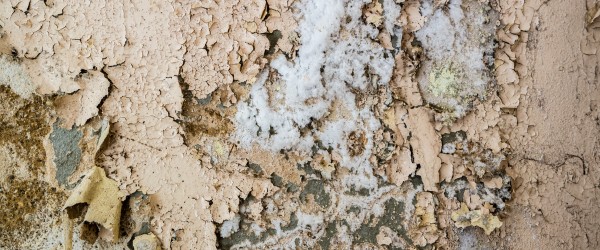 Saltpeter on the wall after a flood