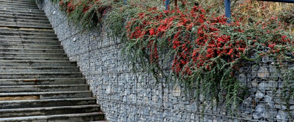 mur soutenement gabions