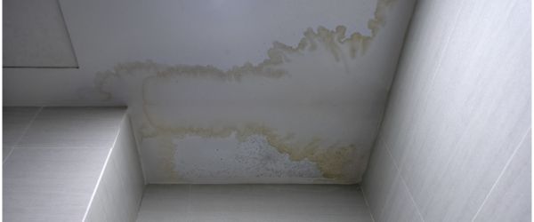 tache humidité plafond 1