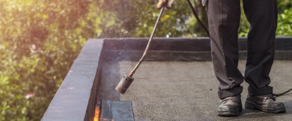toit terrasse calendrite chaud