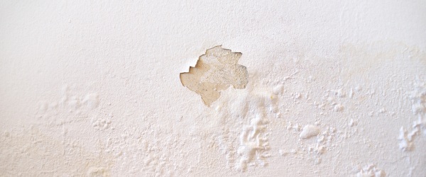 traces humidite